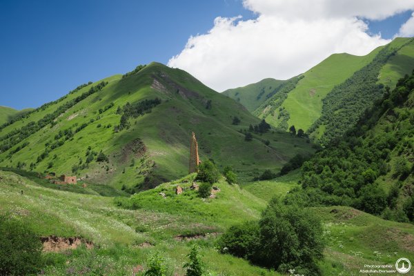 Башенный комплекс Шарой