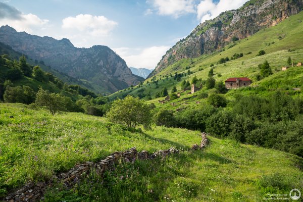 Луга Дагестана Альпийские Дагестана
