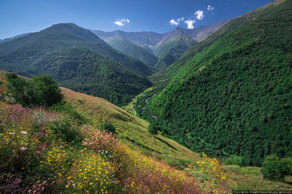 Чеченская Республика Аргунское ущелье