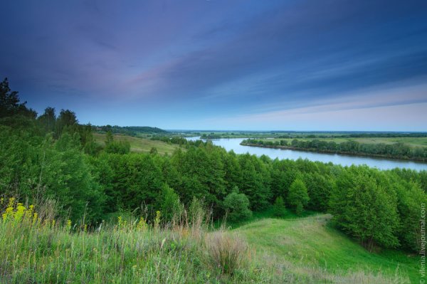 Природа родного края Рязань