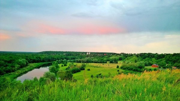 Картина лесостепи в Воронежской области