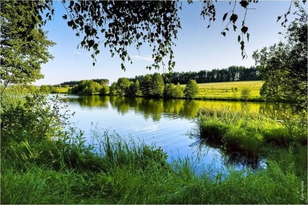 Природа Тулы и Тульской области