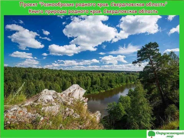 Проект разнообразие природы родного края Свердловская область