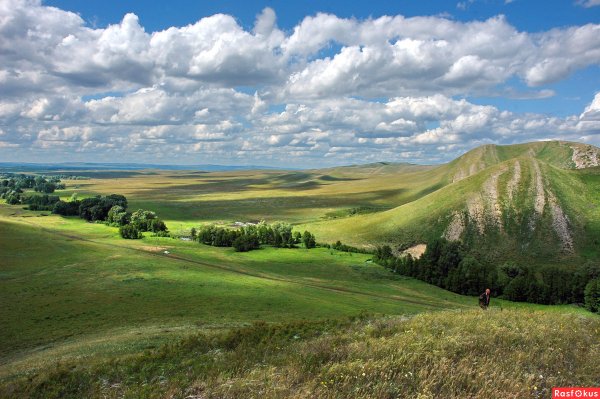 Оренбург леса степи