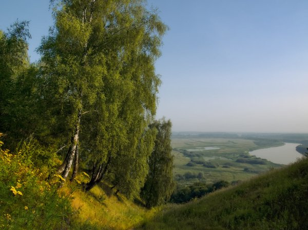 Природа родного края