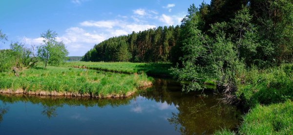 Екатеринбург природа Урала