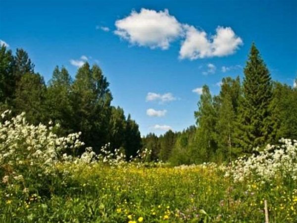 Разнообразие природы России