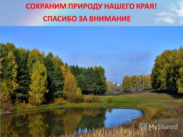Растительный мир
