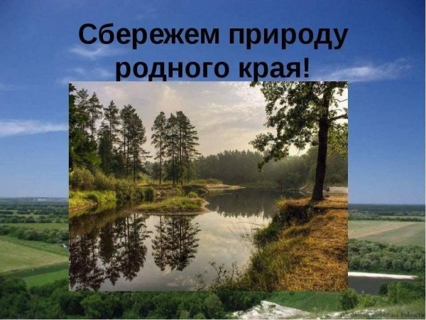 Подмосковский лес