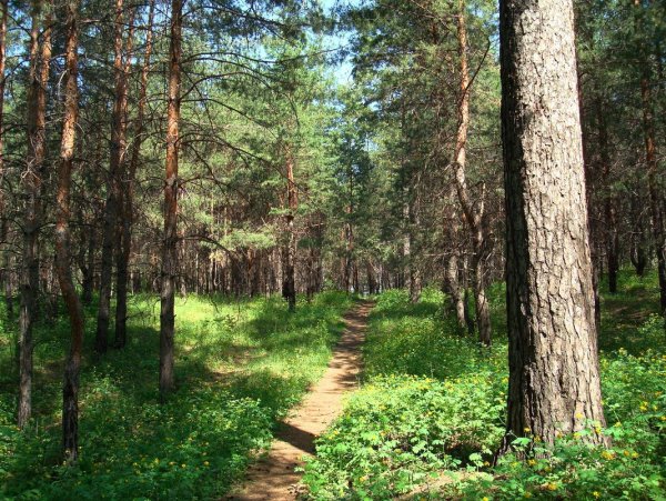 Музей природы Галичья гора