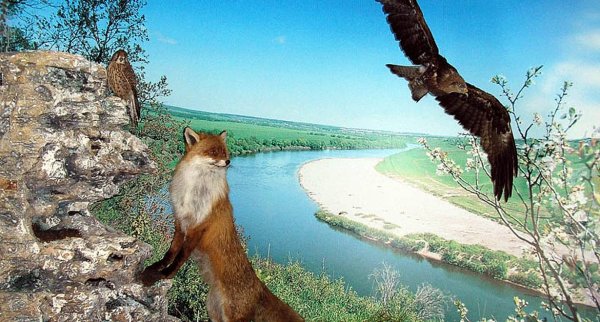 Природа нашего края очень разнообразна богата и красива