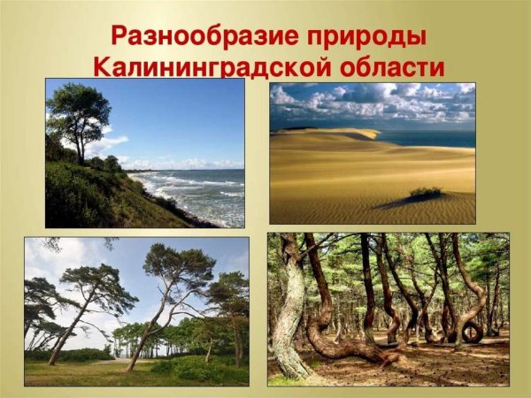 Многообразие природы России