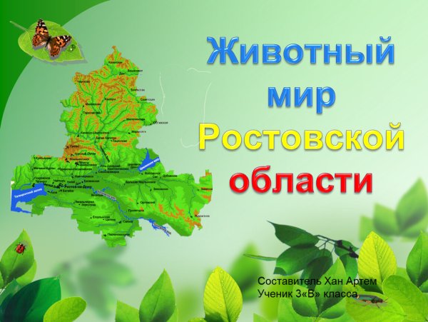 Птицы в окружающем мире