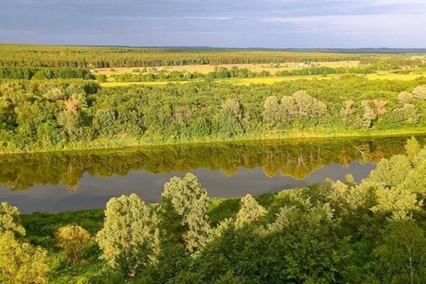 Коллаж природа