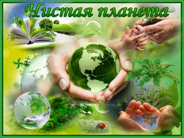 Сохраним природу вместе