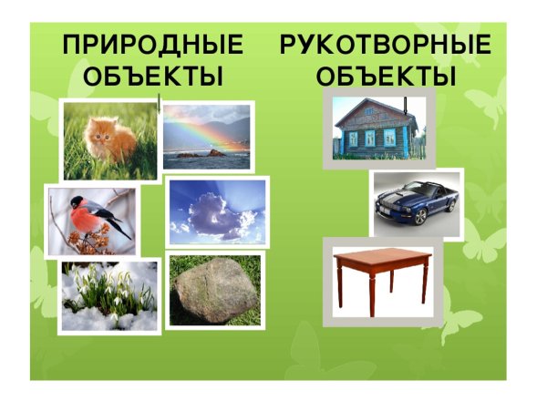 Предметы природного и рукотворного мира