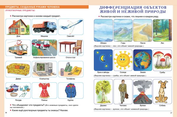 Живая неживая природа и рукотворный мир