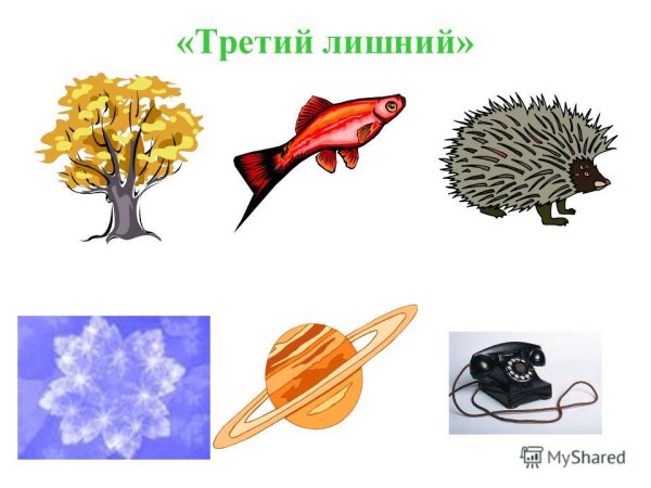 Живая неживая природа и рукотворный мир