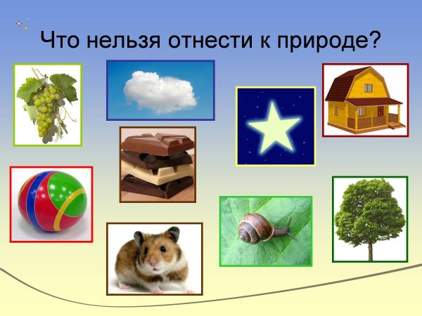 Предметы сделанные человеком и природой