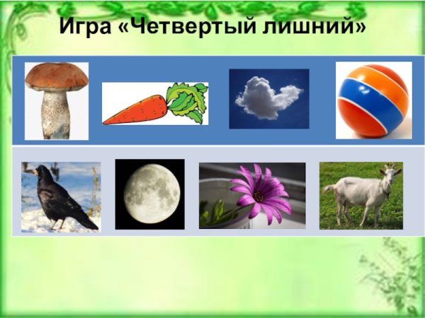 Природные и рукотворные предметы
