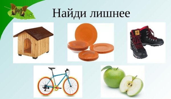 Предметы природного мира