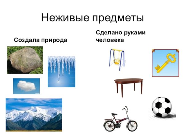 Предметы созданные природой