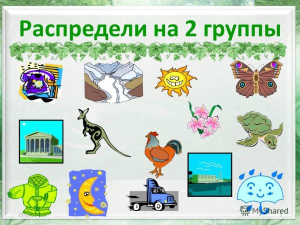 Предметы природного и рукотворного мира
