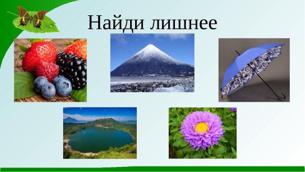 Природные и рукотворные предметы