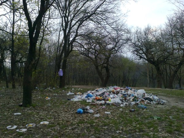 Засорение природы