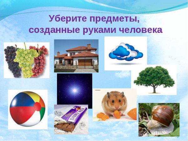Предметы, созданные человеко