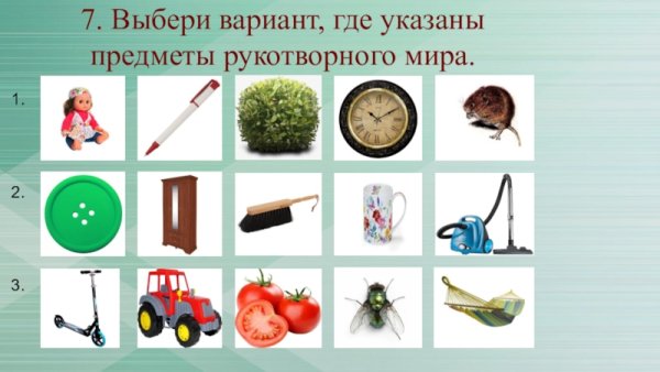 Рукотворный и природный мир
