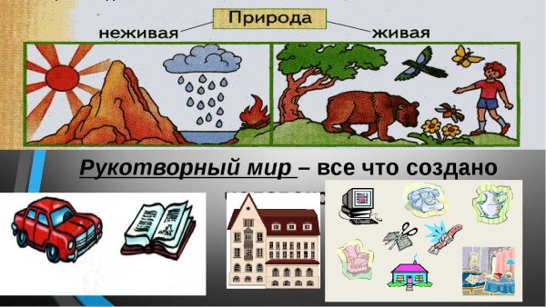 Природа и рукотворный мир