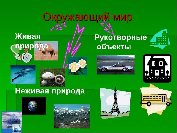 Предметы природы и рукотворного