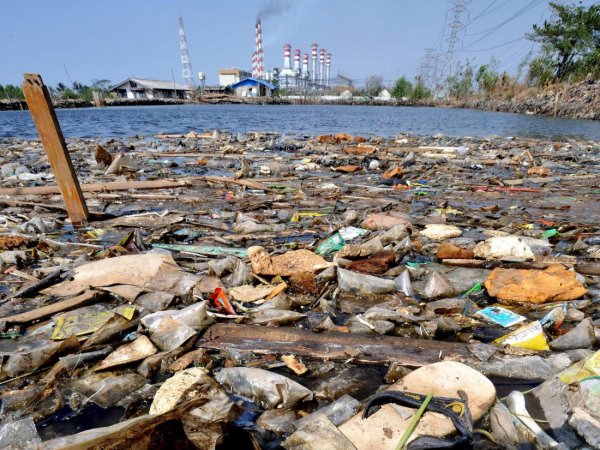 Экологические загрязнения