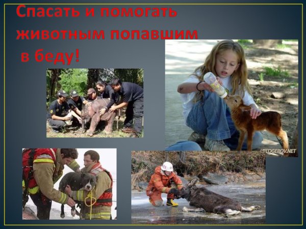 Рисунок на тему огонь
