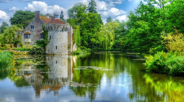 Сад замка Скотни Англия Великобритания фото