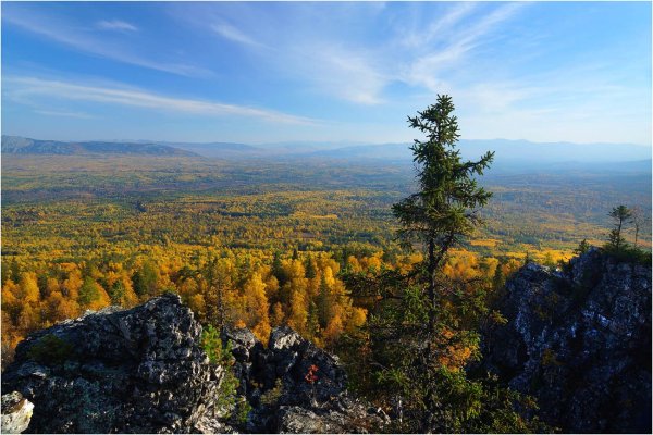 Дальний Восток Уссурийская Тайга