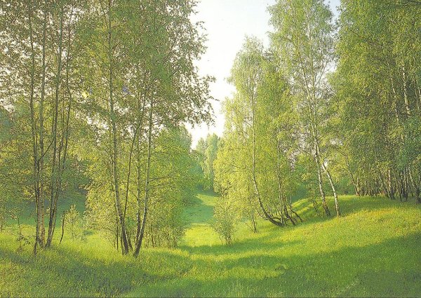 Есенин о родной природе