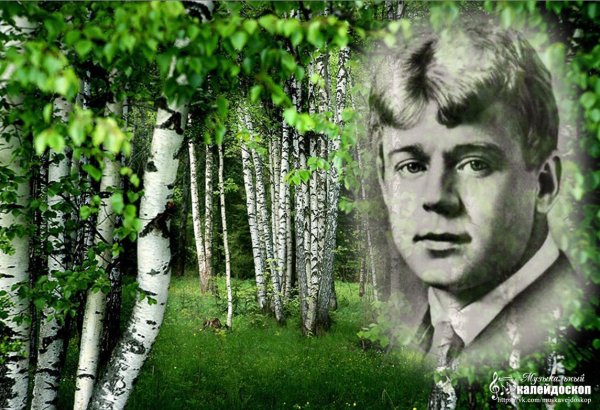 Сергей Есенин Сергей Есенин берёза