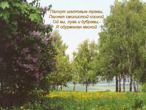 Поэзия родной природы