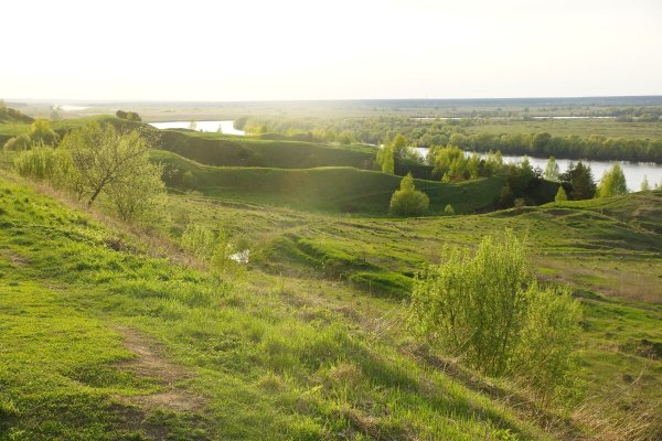 Природа Константиново Рязанской области