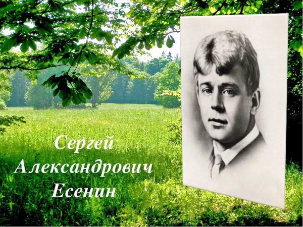 Покинул дом родной Сергей Есенин я родимый