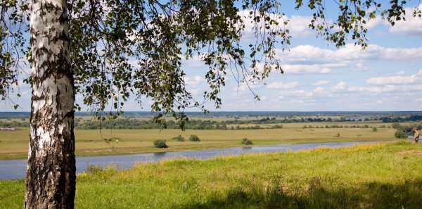 Природа села Константиново Родины Есенина