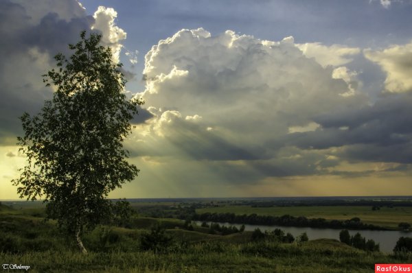 Природа в лирике Есенина