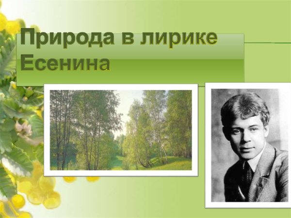Есенин и Рязанский край