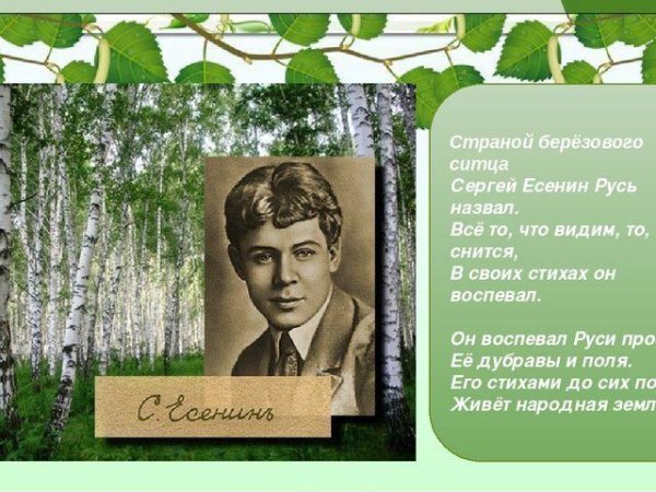 Есенинская Русь три березы