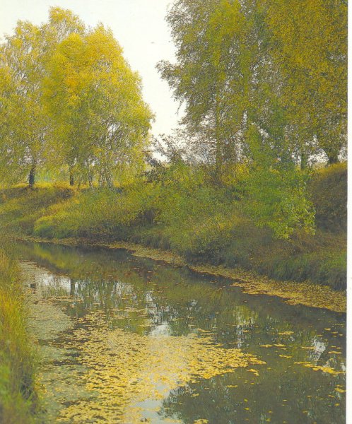Село Константинова Родина Есенина