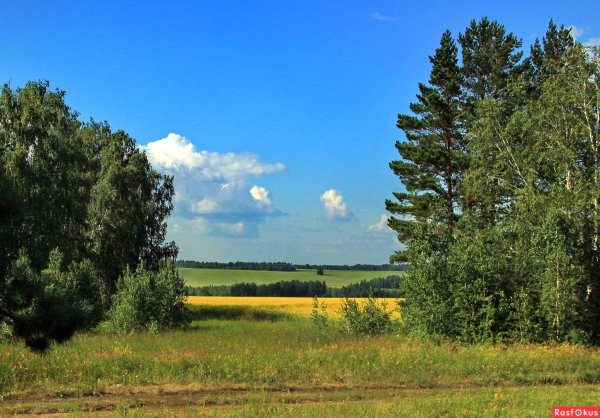 Природа Курганской области