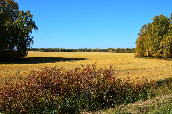 Зауралье Курган природа