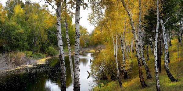 Курганская природа Курганской области